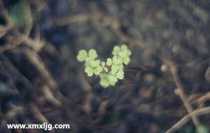 QQ图片20141027212414