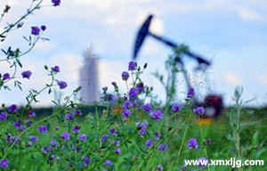 QQ图片20141026220028