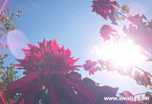 QQ图片20141027212535