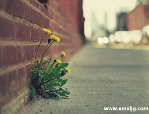 QQ图片20141024225204