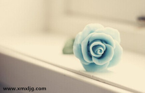 QQ图片20141029231910