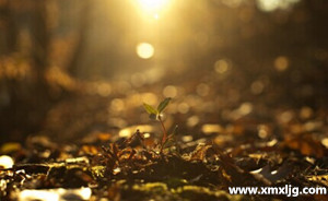 QQ图片20141026220055