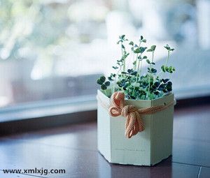 QQ图片20141025175042