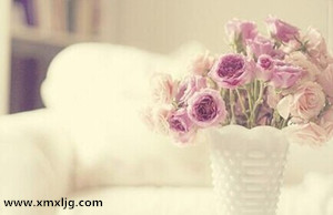 QQ图片20141020221301