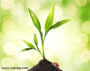 QQ图片20141109214300