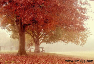 QQ图片20141126212408