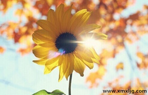 QQ图片20141129232850