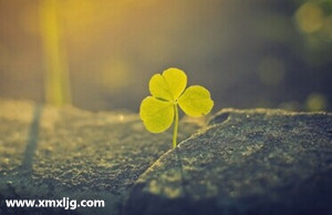 QQ图片20141105213233