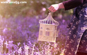 QQ图片20141103224134