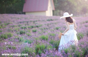 QQ图片20141116155154