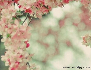 QQ图片20141119210745