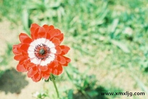 QQ图片20141124231419