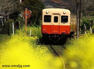 QQ图片20141125234209