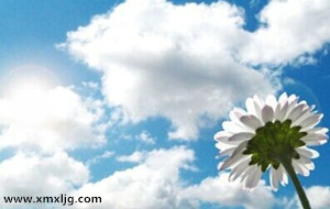 QQ图片20141106233350