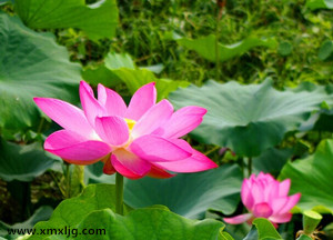 QQ图片20141119210819