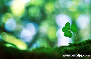 QQ图片20141124231354