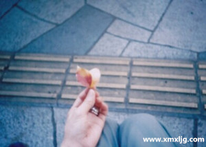 QQ图片20141105213326