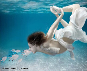 QQ图片20141108220933