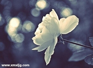 QQ图片20141123190650