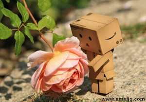 QQ图片20141126212302