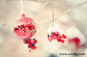 QQ图片20141206235446