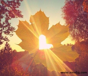 QQ图片20141210222241