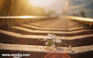 QQ图片20141216233115