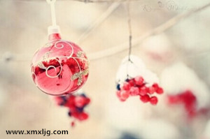 QQ图片20141205233441