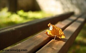 QQ图片20141227234249