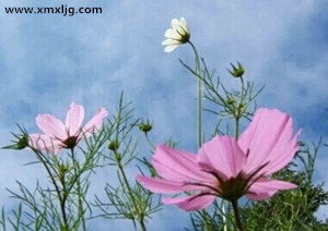 QQ图片20141223233511