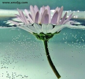 QQ图片20141210222230