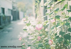 QQ图片20141231001455