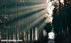 QQ图片20141203232247