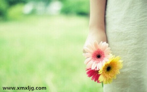 QQ图片20150111224503