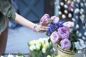 4411487_20150120153044