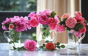 QQ图片20150122234448