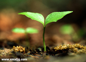 W020101119634518291097