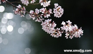 QQ图片20150104002204