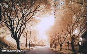 QQ图片20150113012710