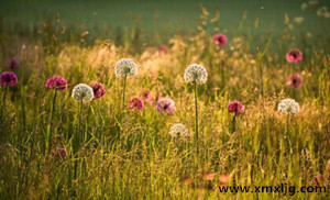 QQ图片20150114234304