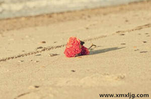 QQ图片20150114234257