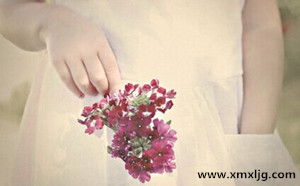 QQ图片20150108234236