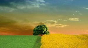 QQ图片20150301000409