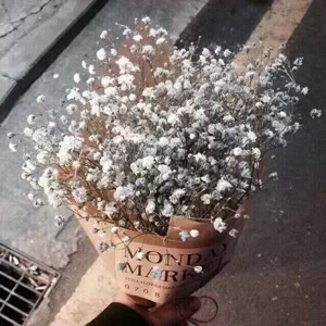 10451179_20150227174310