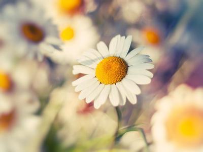 4411487_20150228164307