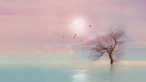 4411487_20150228164355