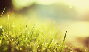 4411487_20150228164514