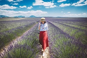 4411487_20150302171536