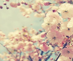 4411487_20150304132105